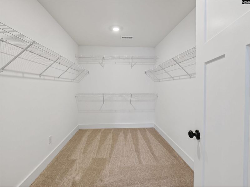 Spacious, unfurnished interior of a new home in Collins Cove, Chapin (Image 40).