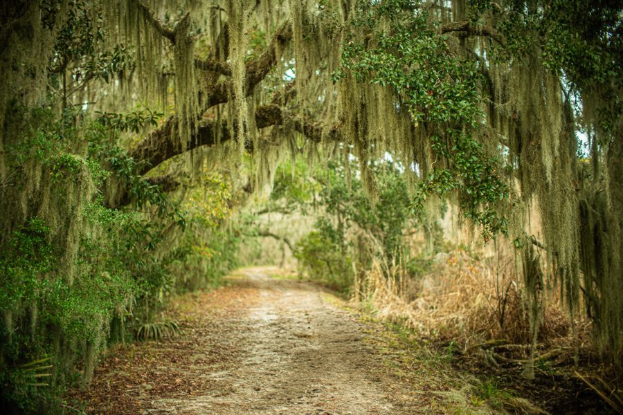 Natural landscape and outdoor views near in Dorchester (Image 37). Natural landscape and outdoor views near in Dorchester (Image 37).