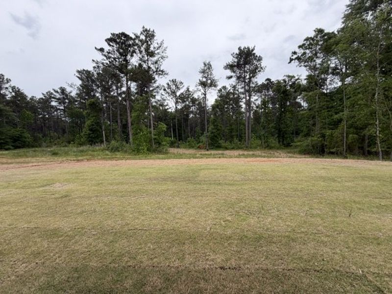 Natural landscape and outdoor views near Oakview in Pine Mountain (Image 17).