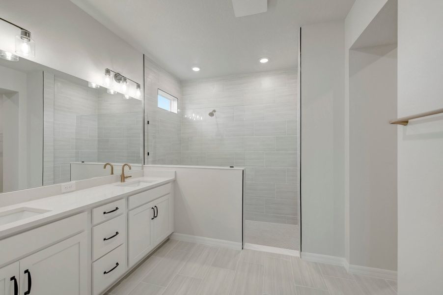 Owner's Bath