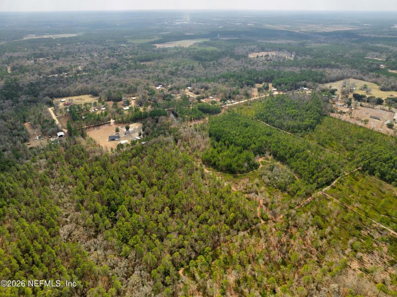Natural landscape and outdoor views near  in Jacksonville (Image 67).