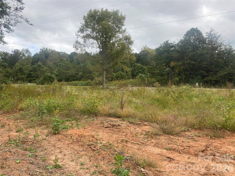 Natural landscape and outdoor views near  in Forest City (Image 18).