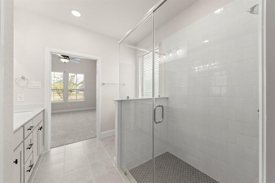 11_1436 Bramante, Celina