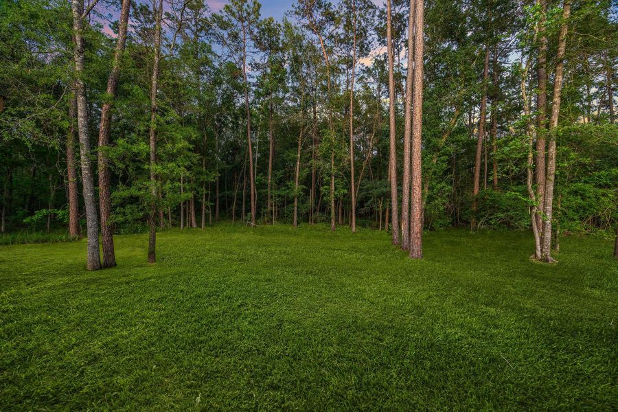 Natural landscape and outdoor views near  in Porter (Image 41).