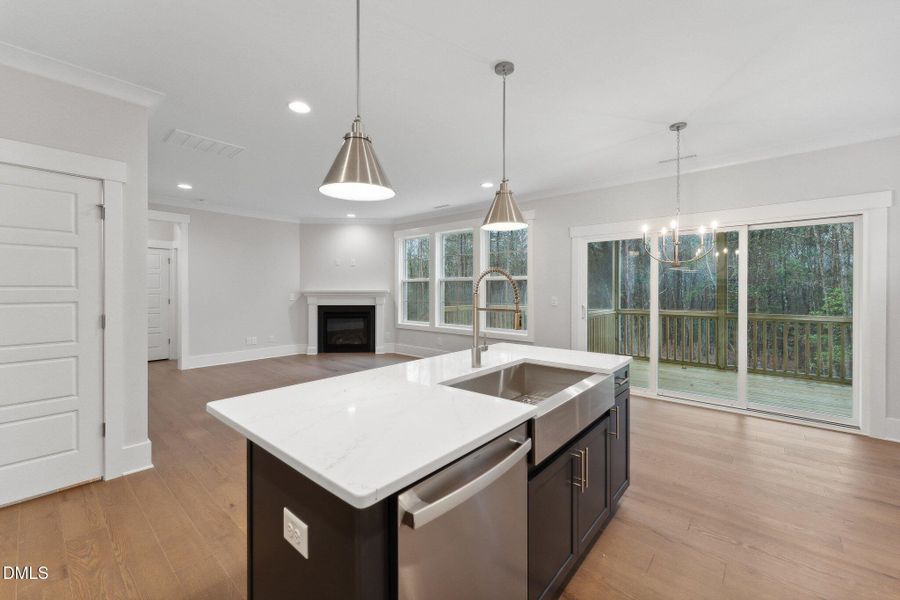 5-web-or-mls-DSC09917 5-web-or-mls-DSC09917