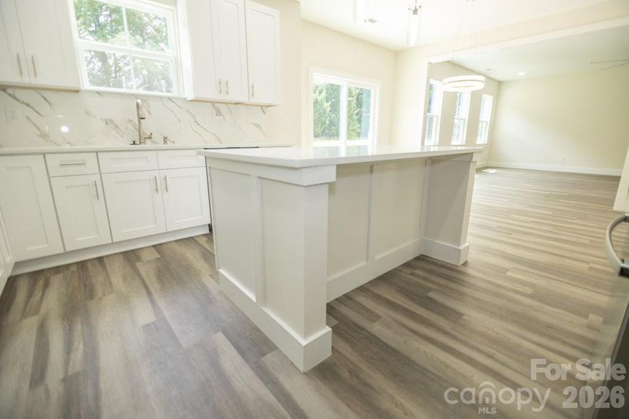 Spacious, unfurnished interior of a new home in , Indian Trail (Image 37).