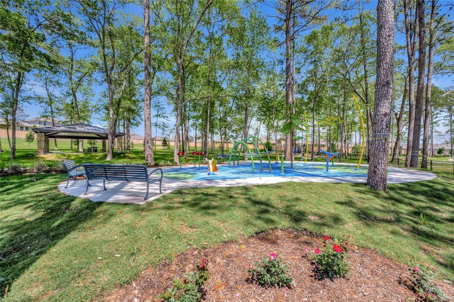 Image 14 of a home in Pine Lake Cove - Premier Series.