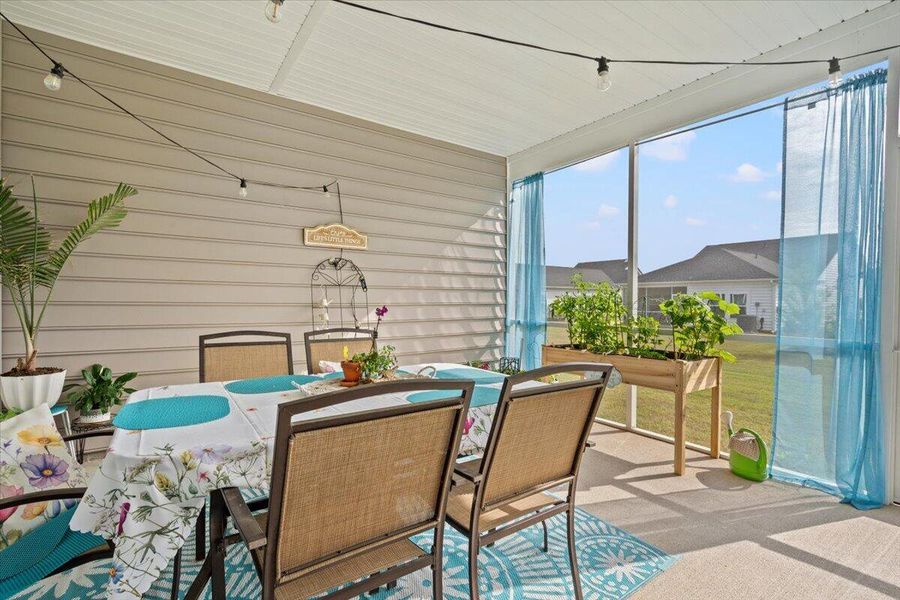 Exterior details and patio area of a home in Horizons at Summers Corner | 55+, Summerville (Image 4).