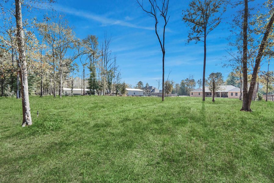 Scattered trees offer a tranquil setting. The area is open and spacious, surrounded by a few houses and bordered by a wooded area.