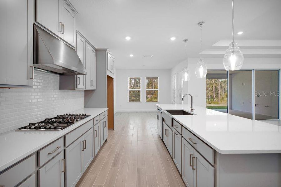 Furnished interior view inside a new home in Hammock at Two Rivers, Zephyrhills (Image 11).
