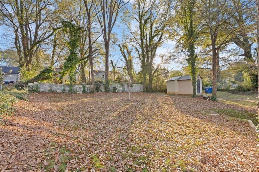 Natural landscape and outdoor views near  in Atlanta (Image 40).