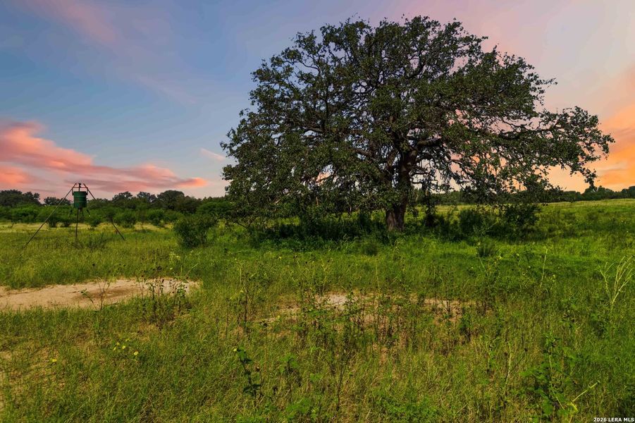 Natural landscape and outdoor views near  in Sabinal (Image 74).