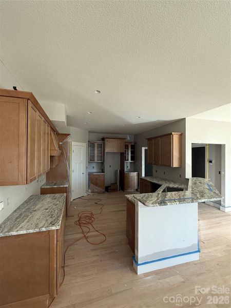 In-progress construction of a new home in , Flat Rock, NC (Image 9). In-progress construction of a new home in , Flat Rock, NC (Image 9).