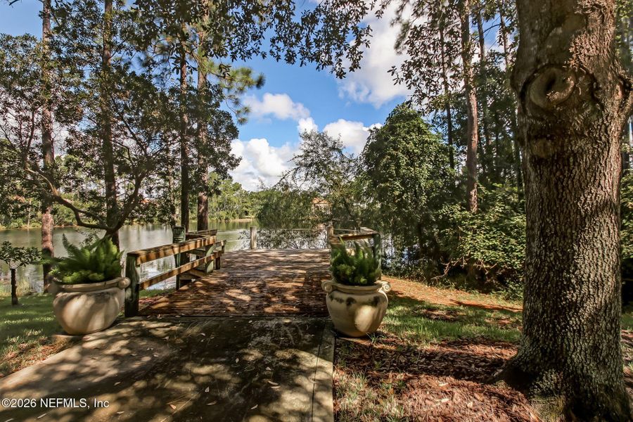 Natural landscape and outdoor views near  in Jacksonville (Image 75).