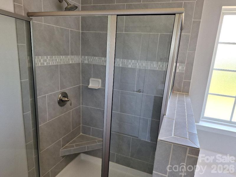 Primary Bathroom Shower