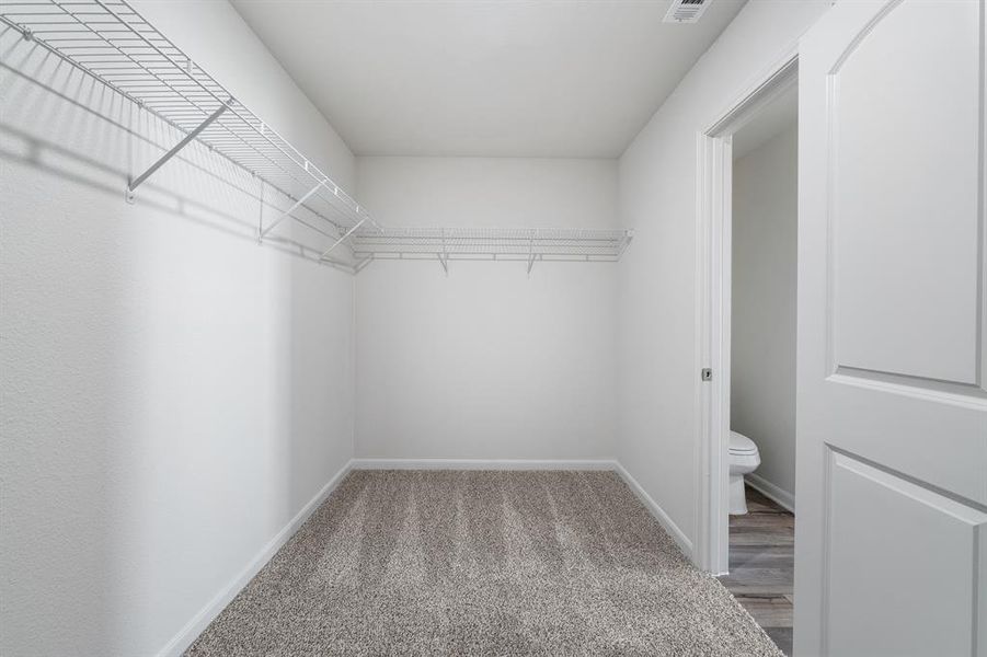 Spacious closet with wood-type flooring