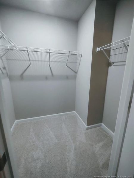 Walk in closet in master bedroom