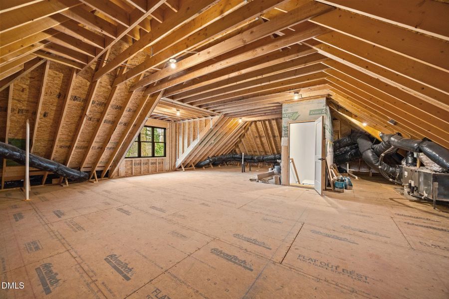 74-web-or-mls-IMG_0823