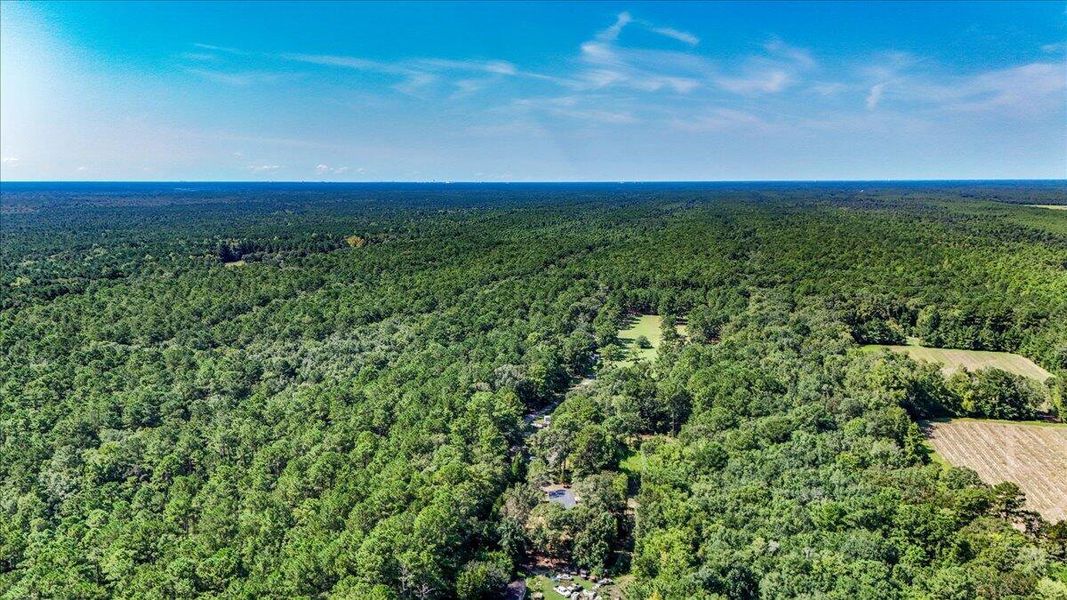 Natural landscape and outdoor views near  in Cordesville (Image 42).