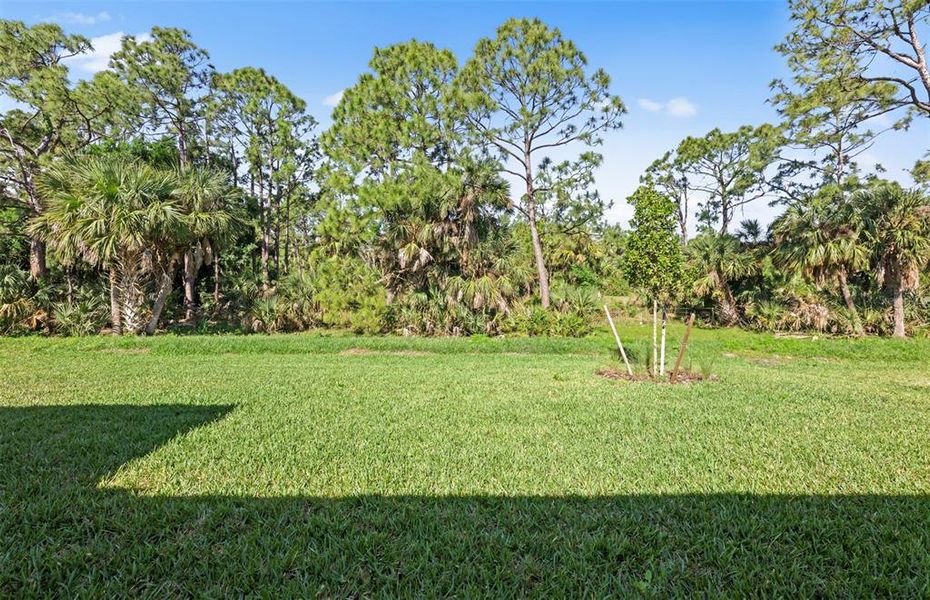 Natural landscape and outdoor views near Cedar Grove at The Woodlands in North Port (Image 21).