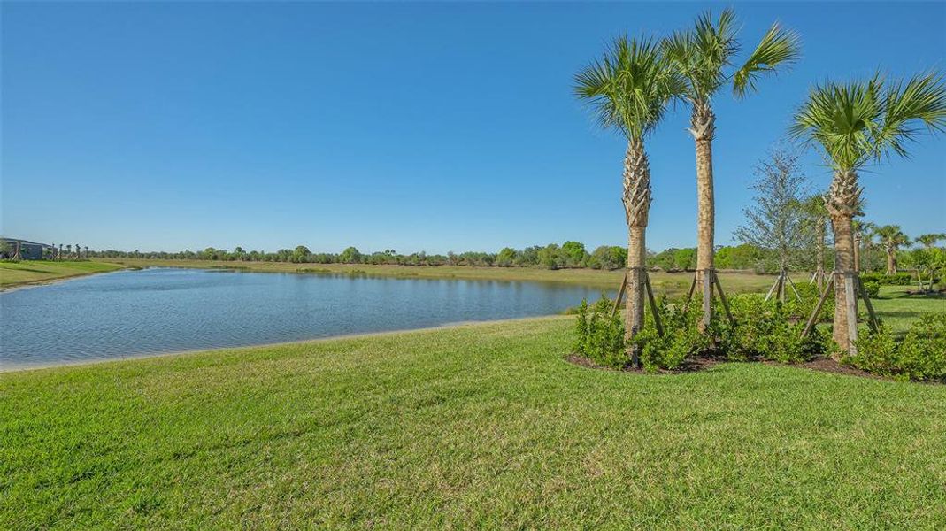 Natural landscape and outdoor views near  in Sarasota (Image 79).