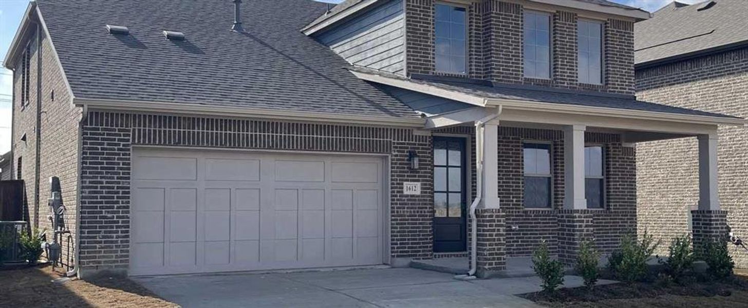 Exterior Design Construction Progress