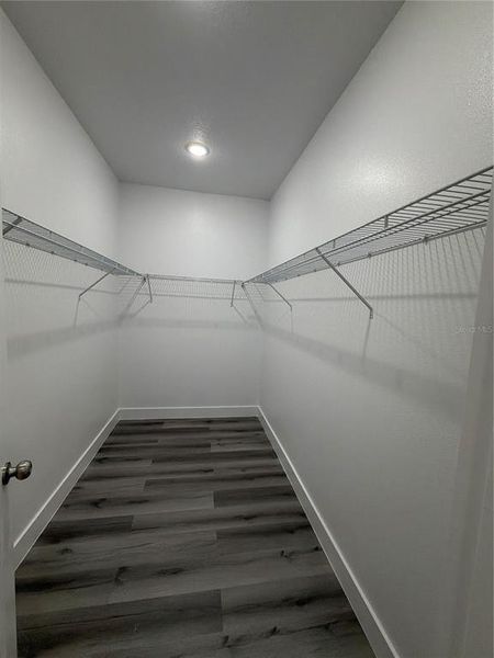 Spacious, unfurnished interior of a new home in , Lakeland (Image 15).