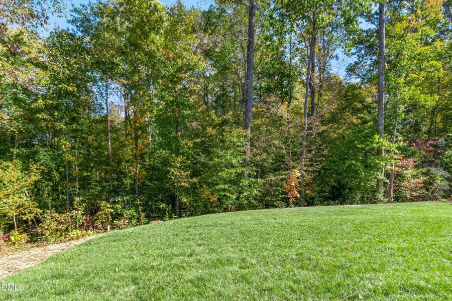 062-487784-IMG_8688 062-487784-IMG_8688