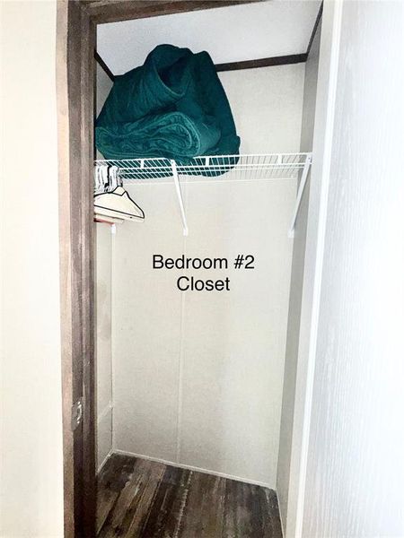 Spacious closet with dark wood finished floors