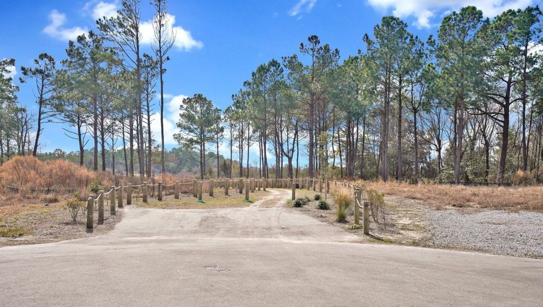 Natural landscape and outdoor views near The Preserve at Tidewater in Sneads Ferry (Image 39).