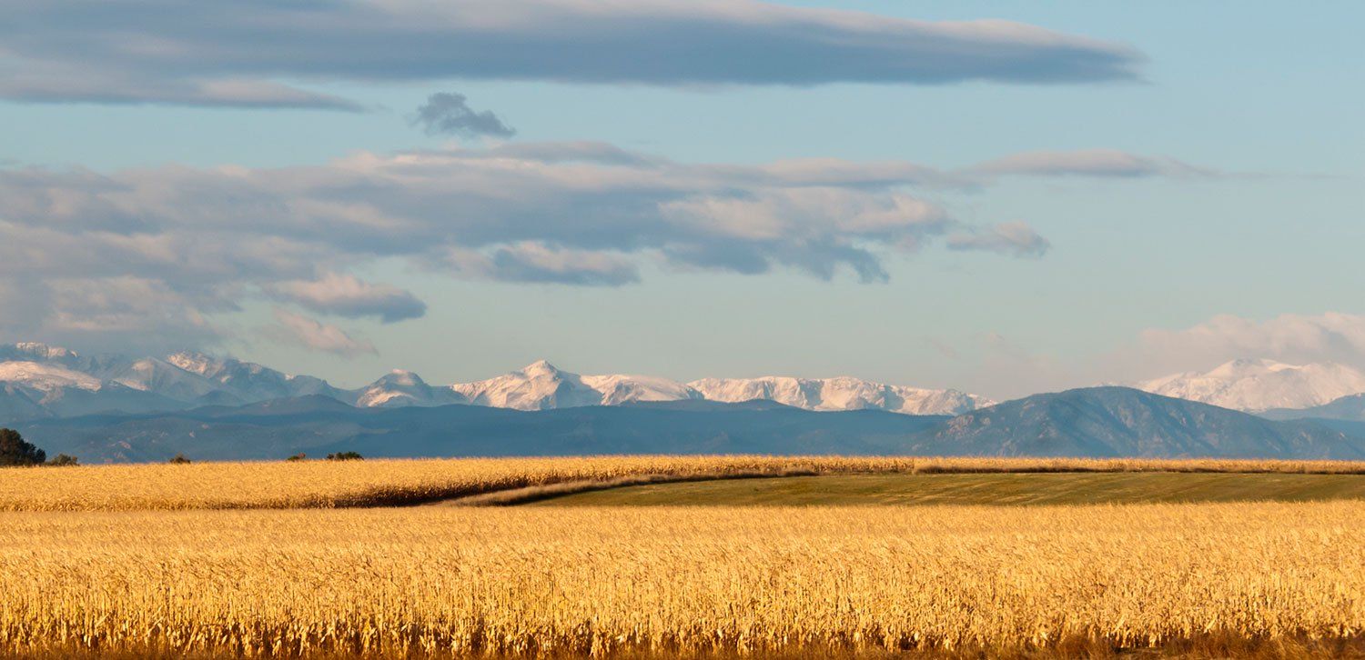 Natural surroundings and green spaces near Muegge Farms in Bennett, CO (Image 1). Natural surroundings and green spaces near Muegge Farms in Bennett, CO (Image 1).