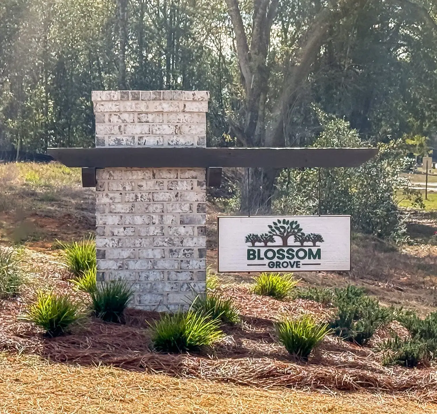 Entrance to the Blossom Grove community in Milton, FL, featuring signage and landscaping (Image 1). Entrance to the Blossom Grove community in Milton, FL, featuring signage and landscaping (Image 1).