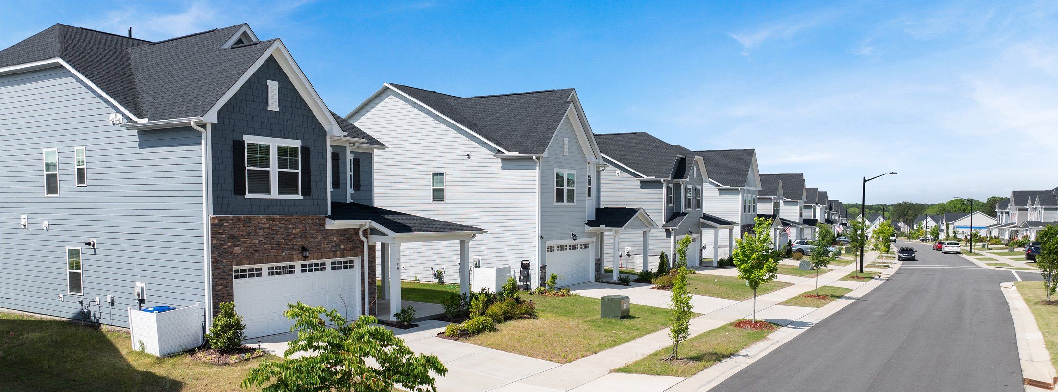 Sterling Rosedale Streetscape