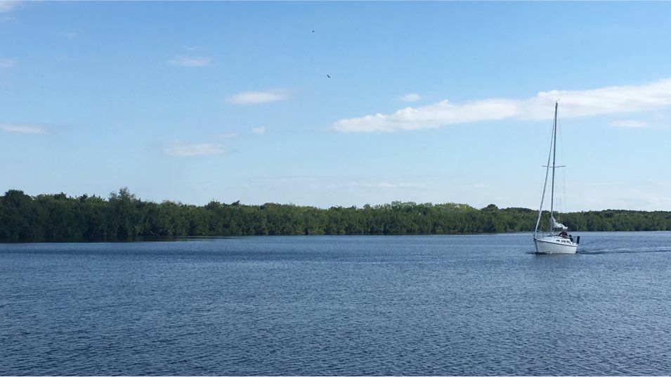 Harbor West lake pond