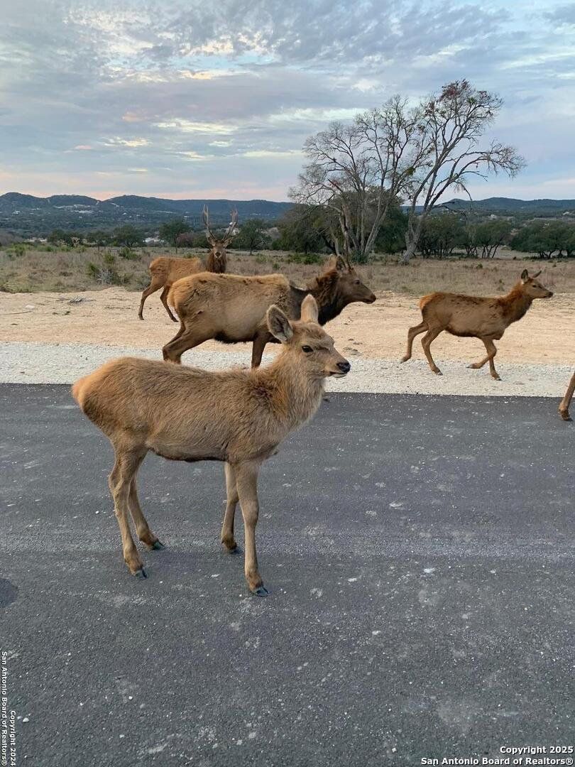 Image 1 of a home in . Image 1 of a home in .