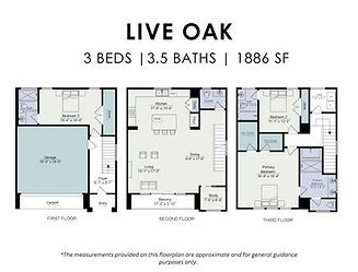 2D floor plan layout for the Live Oak by MTY Builders in Bauer Crossing, Houston, TX (Image 1).