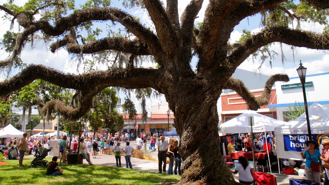 Downtown Brooksville Street Market