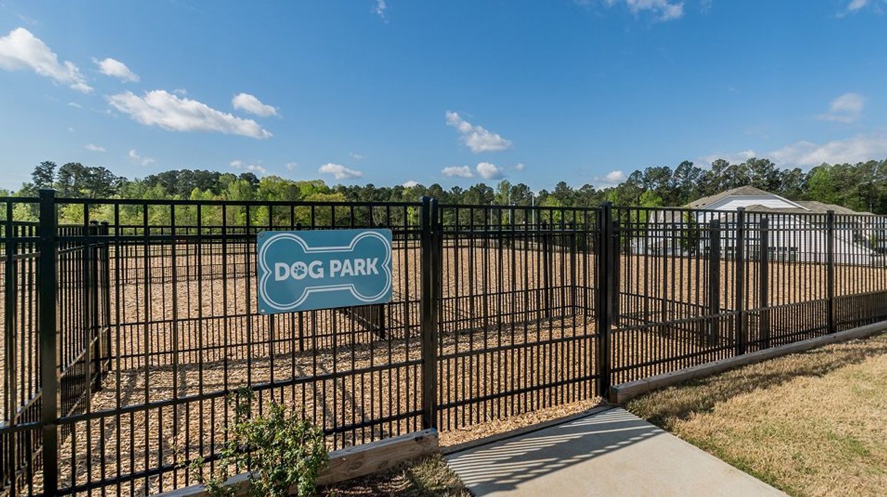 Divisional Amenity Dog Park Divisional Amenity Dog Park