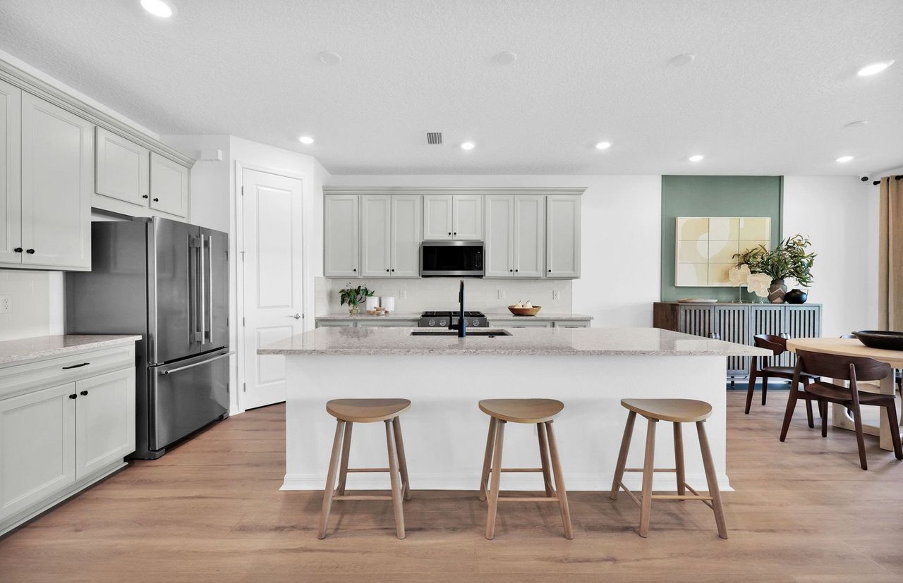 Gourmet Kitchens