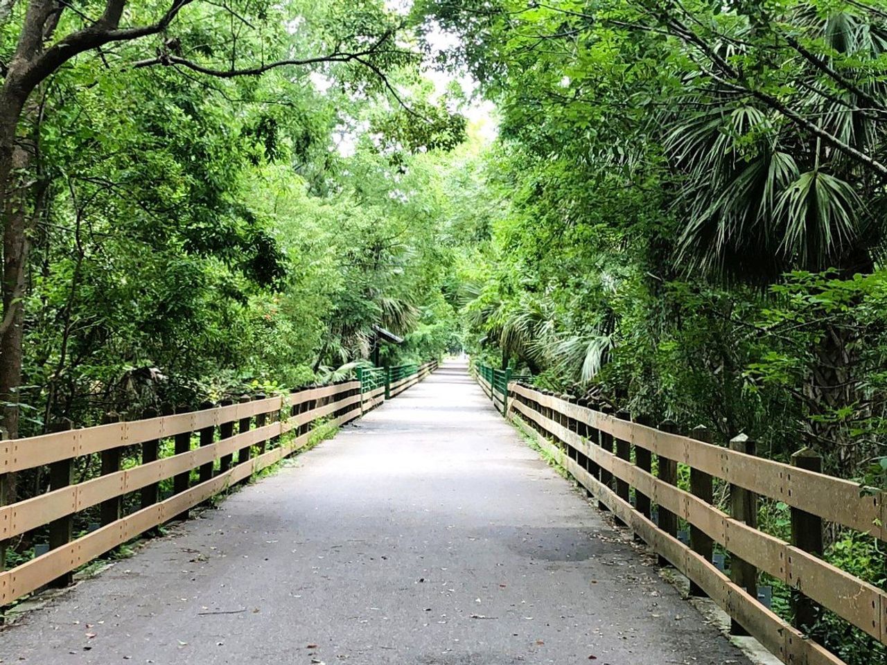 Natural surroundings and green spaces near Canopy in Casselberry, FL (Image 2).