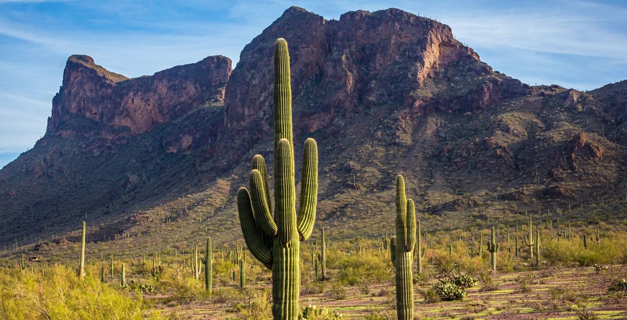 Sunset Vista Trail Sunset Vista Trail