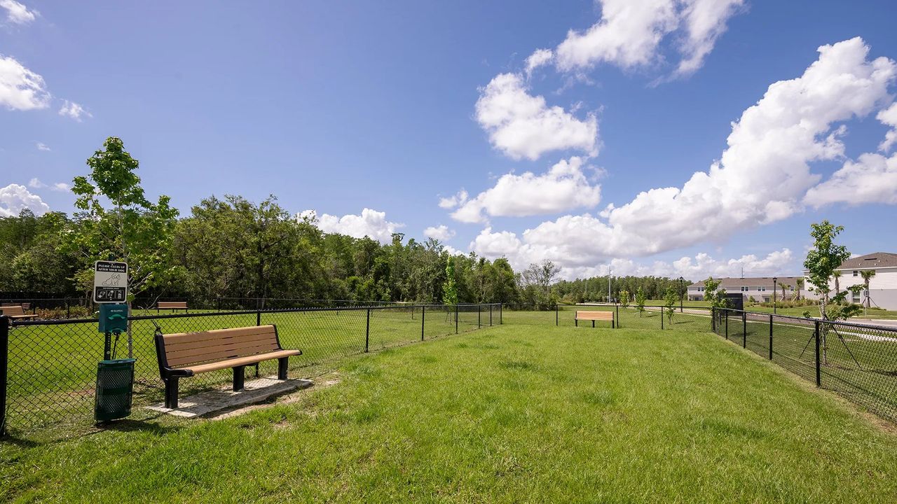 Dog park Dog park
