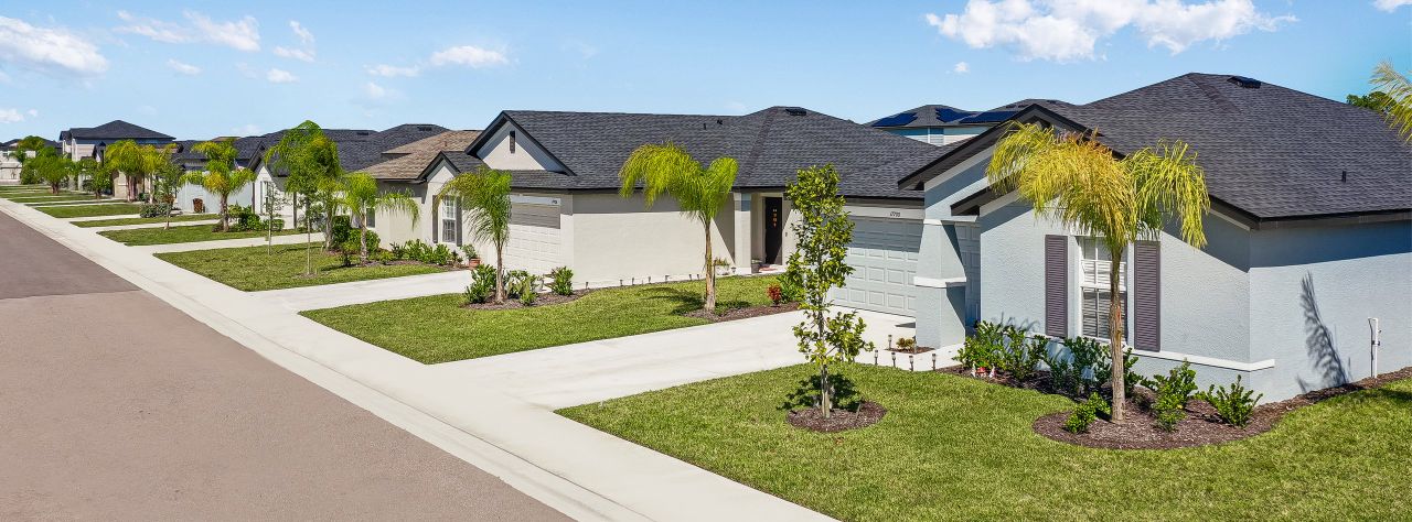 Executive Homes Savanna Lakes Streetscape Executive Homes Savanna Lakes Streetscape