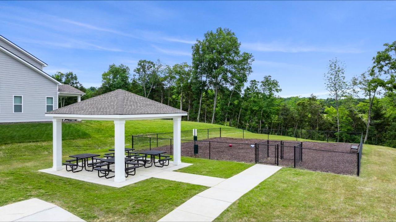 Picnic Area Picnic Area