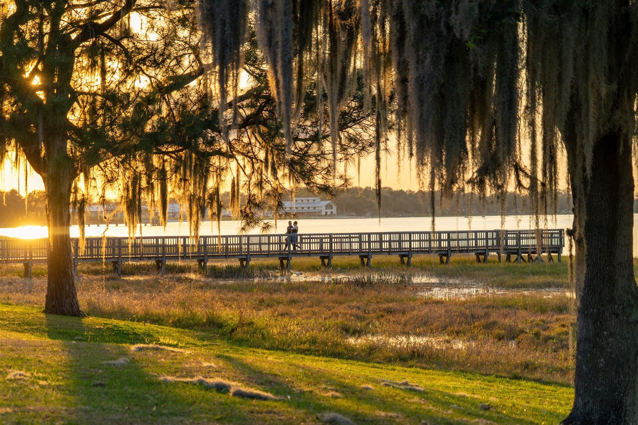 Natural surroundings and green spaces near Cypress Reserve - Overlook in Clermont, FL (Image 2). Natural surroundings and green spaces near Cypress Reserve - Overlook in Clermont, FL (Image 2).