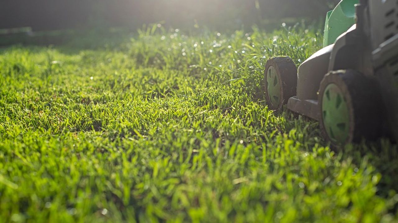 N Pic Decor Home Lawnmower Grass
