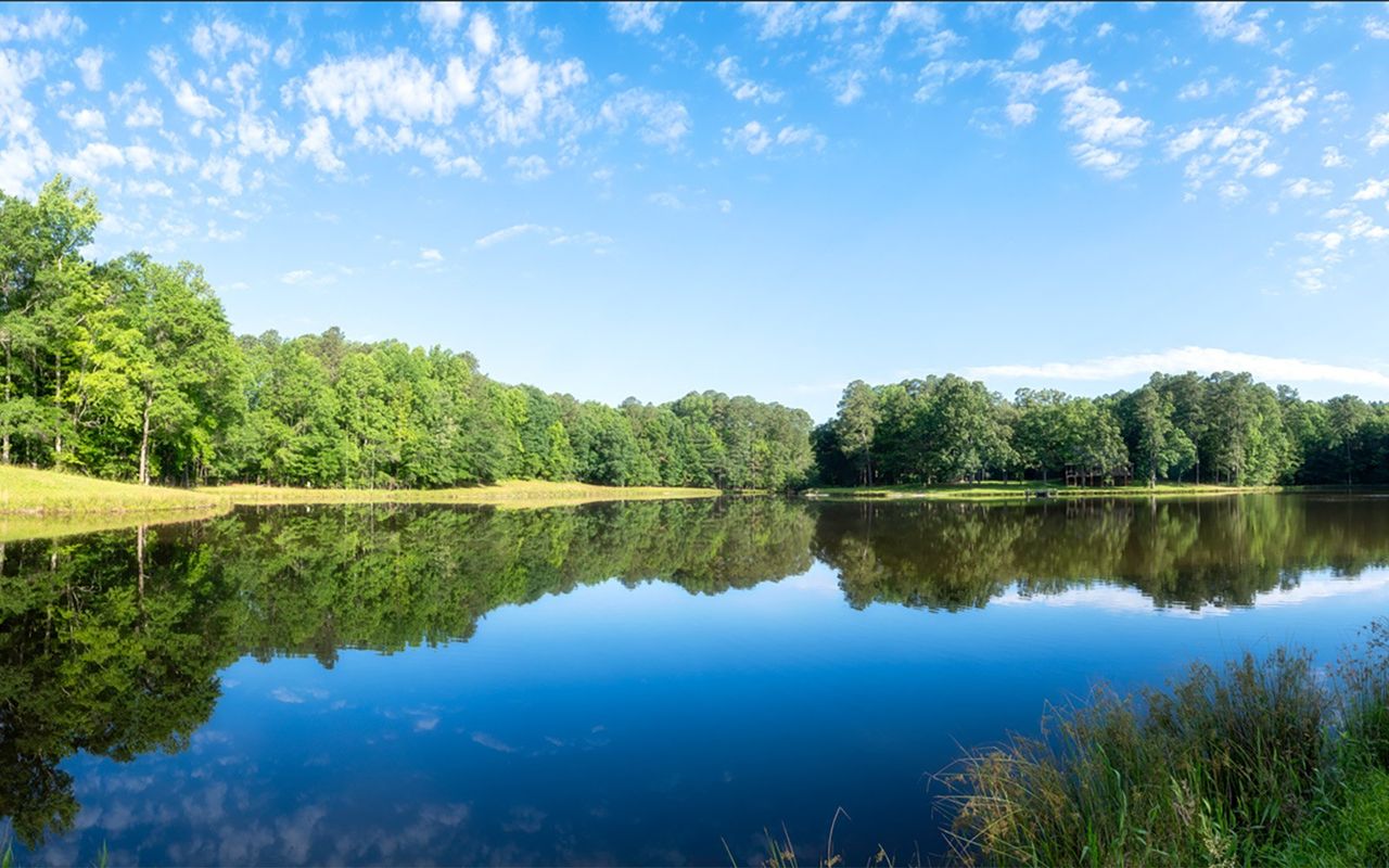 Natural surroundings and green spaces near Cottages at Ponder in Wendell, NC (Image 2).