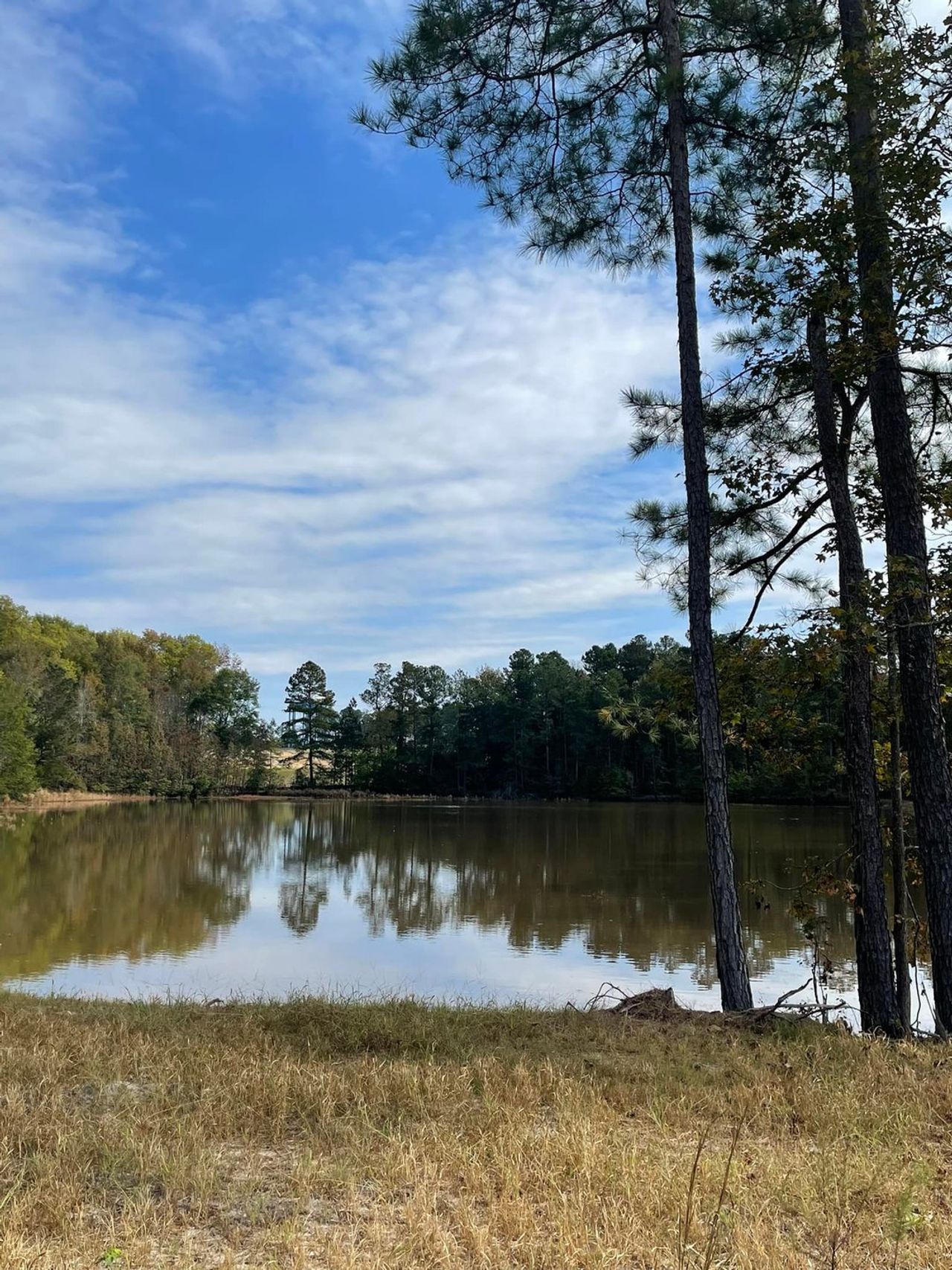 Image 2 of the Jackson Heights community in Grovetown, GA.