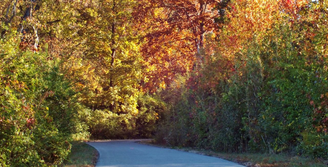 Arbors at Compton Arbors at Compton