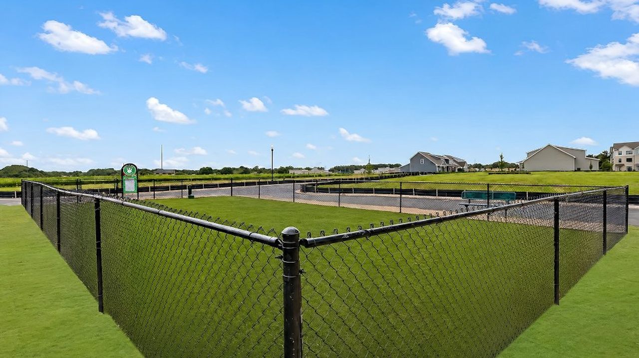 The Encore Amenity Dog Park